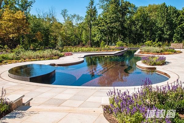 璀璨的魅力小提琴游泳池