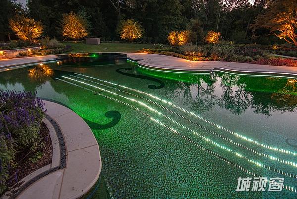 璀璨的魅力小提琴游泳池