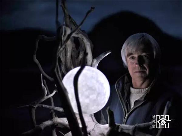 枯木纸灯，极具创意的灯笼