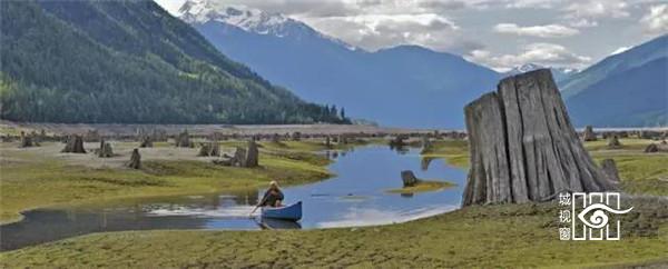 枯木纸灯，极具创意的灯笼