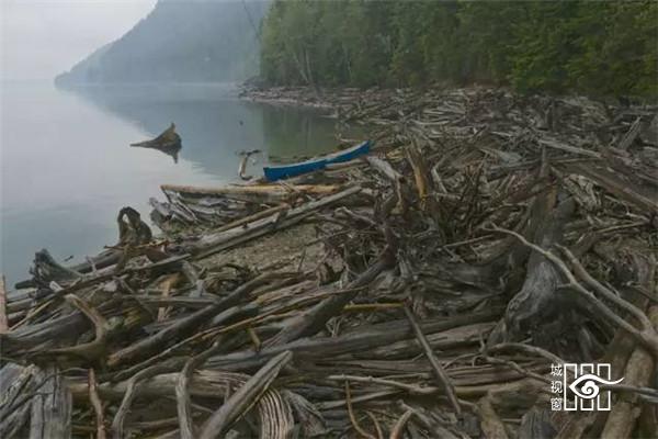 枯木纸灯，极具创意的灯笼