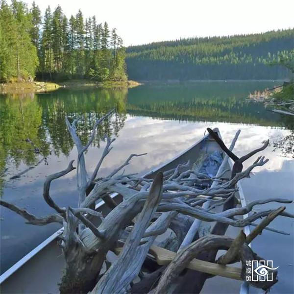 枯木纸灯，极具创意的灯笼