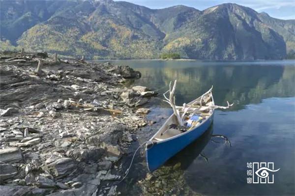 枯木纸灯，极具创意的灯笼