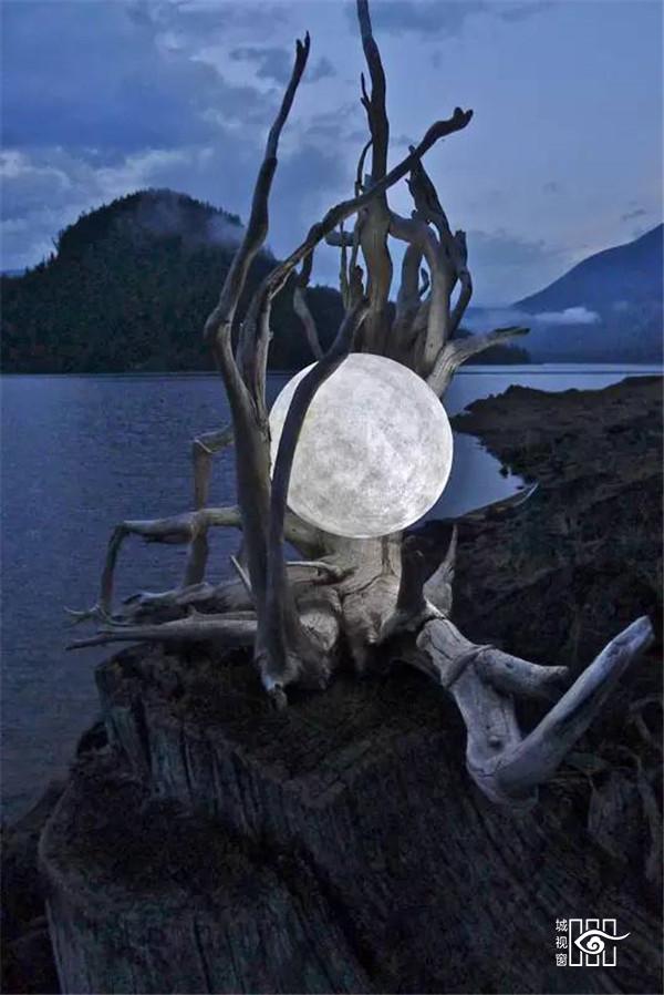 枯木纸灯，极具创意的灯笼