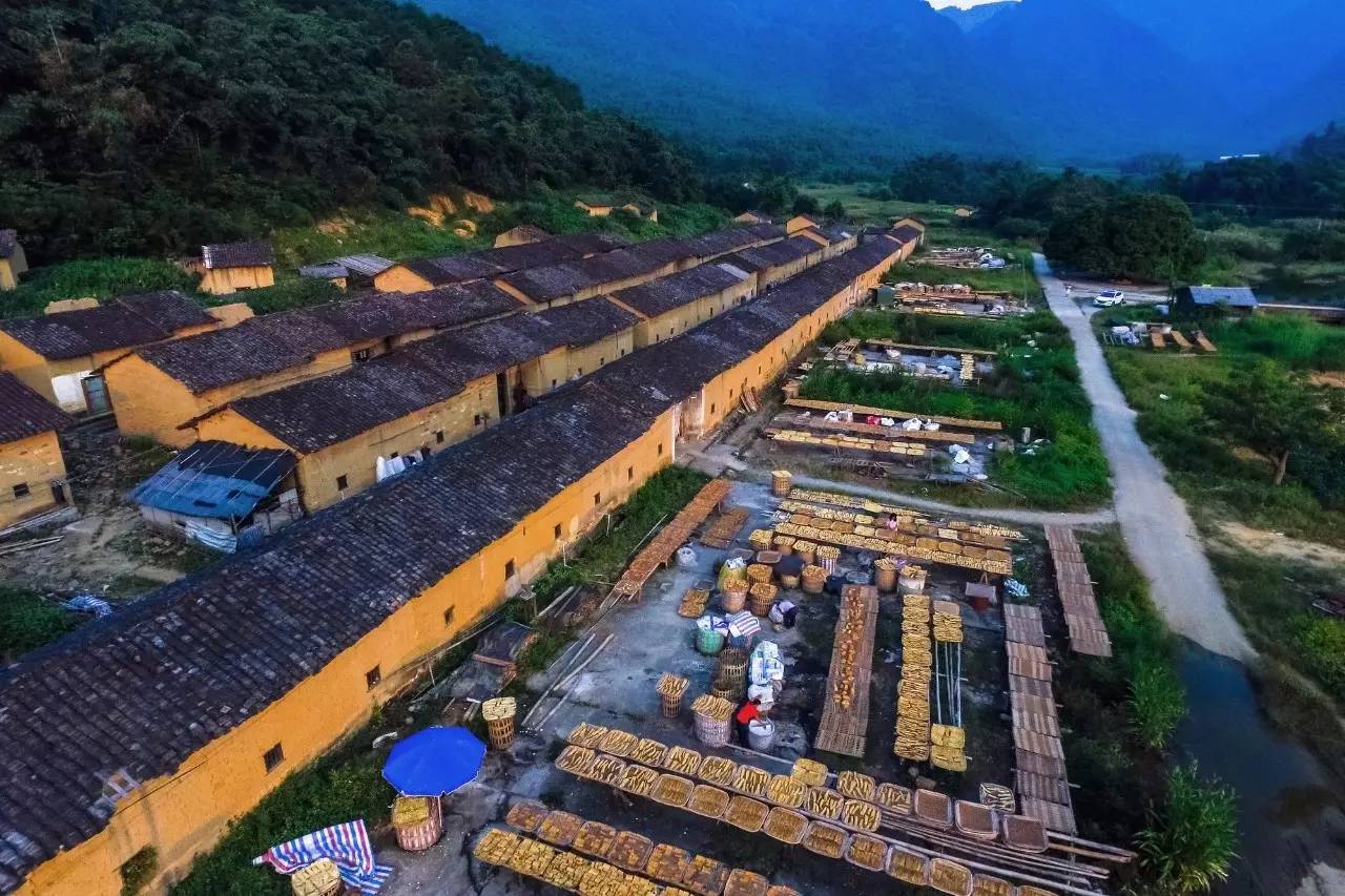 “校企乡”联动实践，布局乡建人才战略